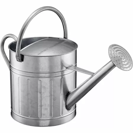 GroundWork 2.3 gal Watering can Watering Cans