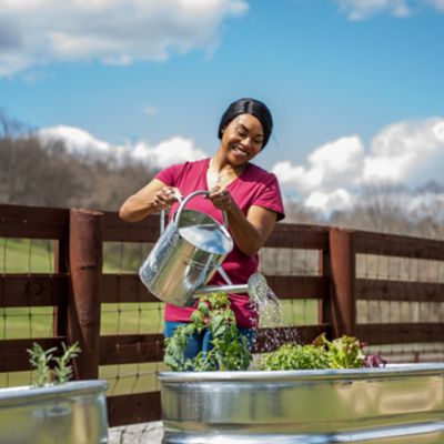 Image showing  2.3 gal. Watering Can
