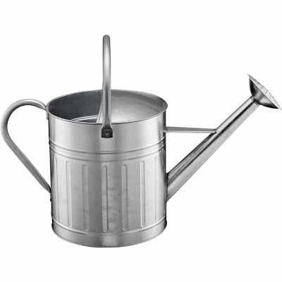 Image showing  2.3 gal. Watering Can