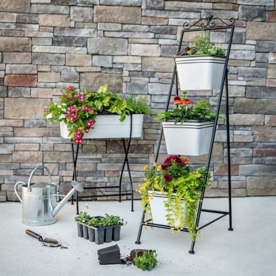 Image showing  2.3 gal. Watering Can