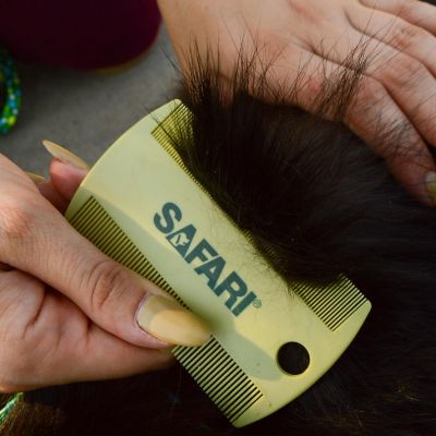 Image showing  Double-Sided Cat Flea Comb