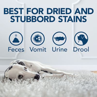 Image showing  Oxy Charged Stain & Odor Remover, 32 oz.