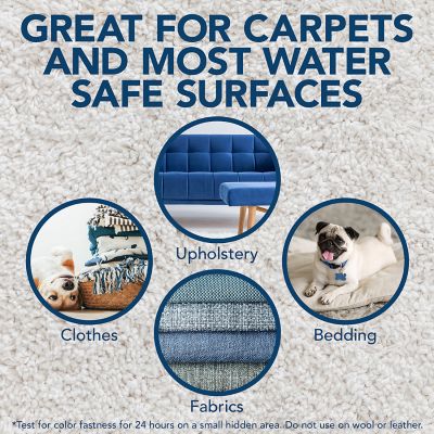 Image showing 5 th Simple Solution Oxy Charged Stain & Odor Remover, 32 oz.