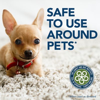 Image showing 6 th Simple Solution Oxy Charged Stain & Odor Remover, 32 oz.