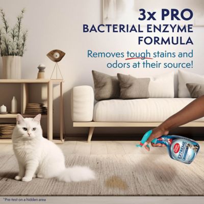 Image showing 6 th Simple Solution Extreme Stain & Odor Remover 32 oz.