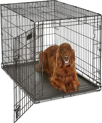 Image showing  iPet Crate 1-Door Steel Dog Crate