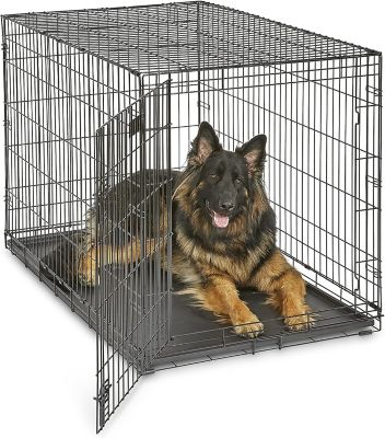 Image showing  iPet Crate 1-Door Steel Dog Crate