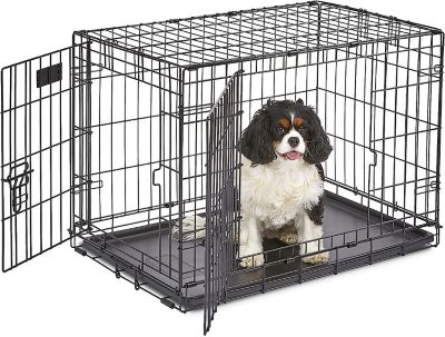 Image showing  iCrate 2-Door Steel Dog Crate