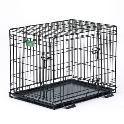 MidWest Homes for Pets iPet Crate 2-Door Steel Dog Crate