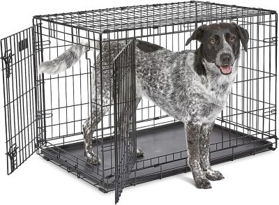 Image showing  iCrate 2-Door Steel Dog Crate
