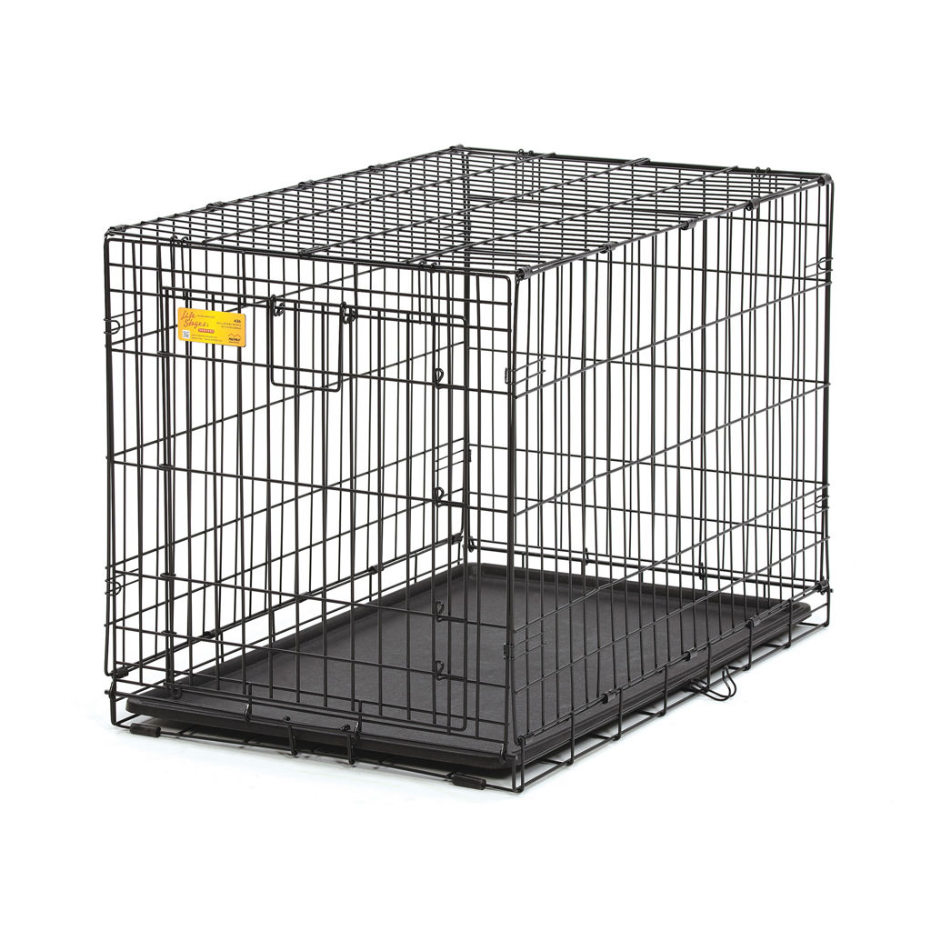 MidWest Homes for Pets LifeStages A.C.E Single Door Dog Crate, Medium to Large Breed