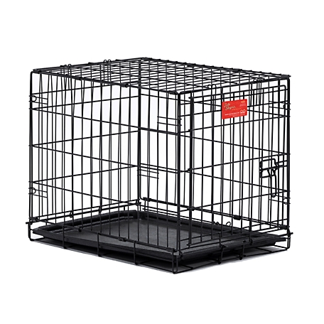 MidWest Homes for Pets LifeStages 1-Door Steel Dog Crate