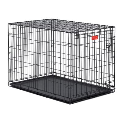 MidWest Homes for Pets LifeStages 1-Door Steel Dog Crate