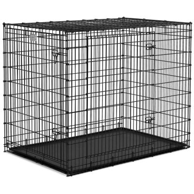 two dog crate