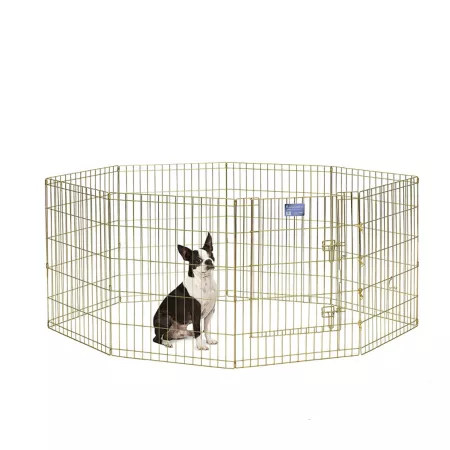 MidWest Homes for Pets 30 in Outdoor Pet Exercise Pen Gold Pet Exercise Pens