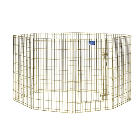 MidWest Homes for Pets 42 in. Gold Exercise Pet Pen