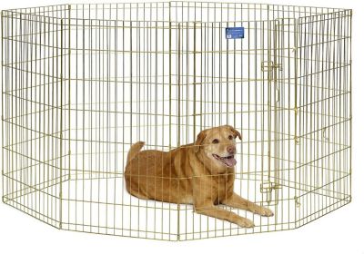 Image showing  42 in. Gold Exercise Pet Pen