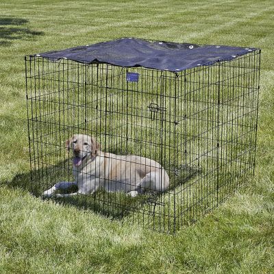 Image showing  Exercise Pen SunScreen, 4 ft. x 4 ft.