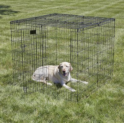 Image showing  Exercise Pen Wire Mesh Top