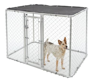 Image showing  4 ft. x 4 ft. x 6 ft. Chain Link Dog Kennel