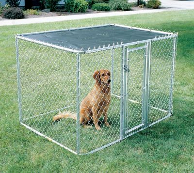 Image showing  4 ft. x 4 ft. x 6 ft. Chain Link Dog Kennel