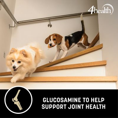 Image showing 5 th 4health Grain Free Adult Duck and Potato Formula Dry Dog Food