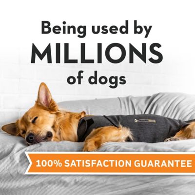 Image showing  ThunderShirt for Dogs, L (41-64 LB)