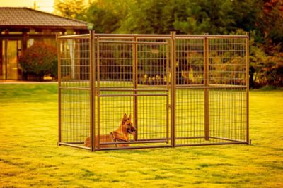 Pet Gazebo 4 ft. x 8 ft. Complete Modular Welded Wire Dog Kennel, Aztec Gold