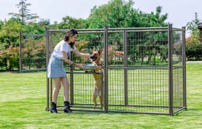Image showing  4 ft. x 8 ft. Complete Modular Welded Wire Dog Kennel, Aztec Gold