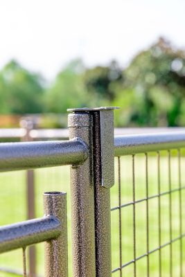 Image showing  4 ft. x 8 ft. Complete Modular Welded Wire Dog Kennel, Aztec Gold