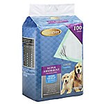 Dog Potty Training & Clean-up