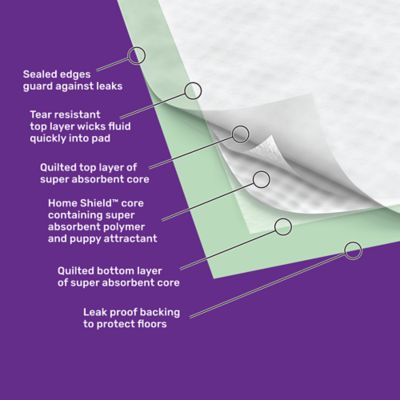 Image showing  Super Absorbent Dog Training Pads with Home Shield