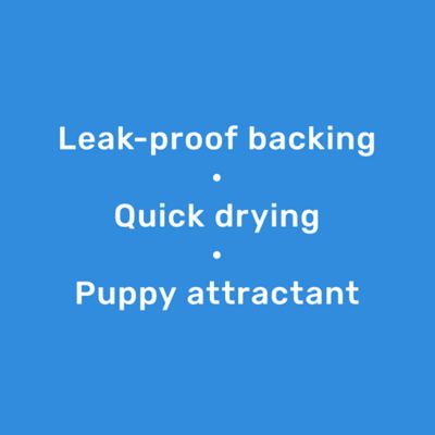 Image showing  Unscented Dog Training Pads, Standard, 150 ct.