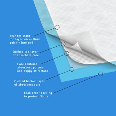 Image showing  Unscented Dog Training Pads, Standard, 150 ct.