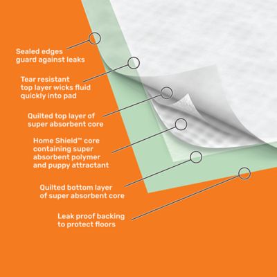 Image showing  Unscented Super Absorbent Dog Training Pads with Home Shield, XL, 50 ct.