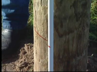 Image showing  Polyrope Connector