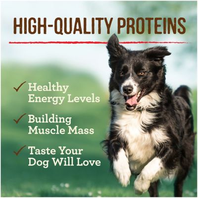 Image showing  Grain Free All Life Stages Beef, Lamb and Buffalo Chunks Wet Dog Food, 12.7 oz.