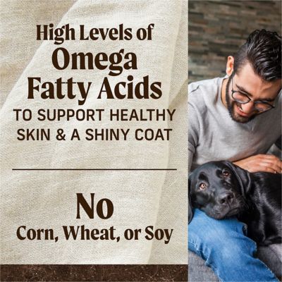 Image showing 8 th Merrick Grain Free Real Texas Beef and Sweet Potato Dry Dog Food