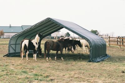 Image showing  22 x 24 x 13ft. Equine Run-In Shed, Peak Style