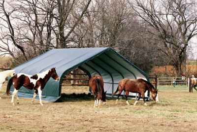 Image showing  22 x 24 x 13ft. Equine Run-In Shed, Peak Style
