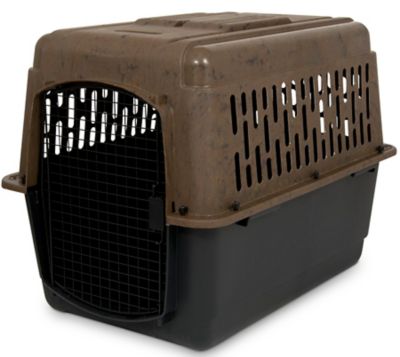 Ruff Maxx 1-Door Plastic Pet Kennel for Dogs 70-90 lb., 30 in. x 27 in. x 40 in.