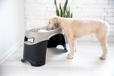 Image showing  12-Cup Easy Reach Elevated Stainless Steel Dog and Cat Feeder and Waterer Set with 2 Bowls, Large