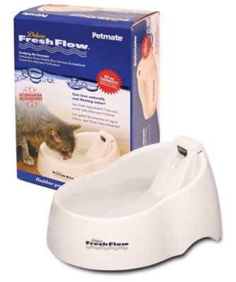 Petmate Deluxe Fresh Flow Polypropylene Cat Bowl, 6.25 Cups