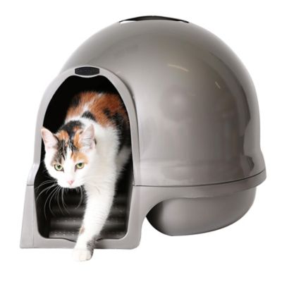 Image showing 8 th Petmate Booda Clean Step Cat Litter Dome