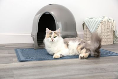 Image showing 9 th Petmate Booda Clean Step Cat Litter Dome