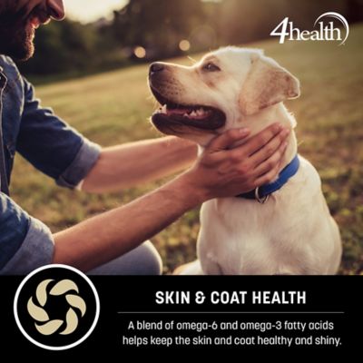 Image showing 6 th 4health Grain Free Adult Duck and Potato Formula Dry Dog Food
