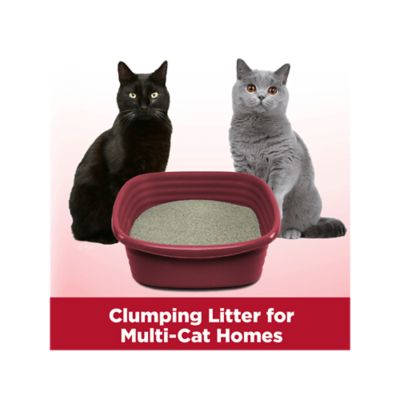 Image showing 6 th Arm & Hammer Clump and Seal Multi-Cat Scented Clumping Clay Cat Litter