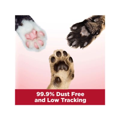 Image showing 7 th Arm & Hammer Clump and Seal Multi-Cat Scented Clumping Clay Cat Litter