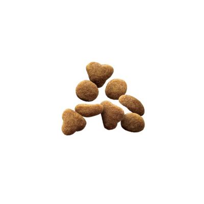 Image showing  Adult Indoor/Outdoor Sensitive Skin and Stomach Lamb and Rice Formula Dry Cat Food