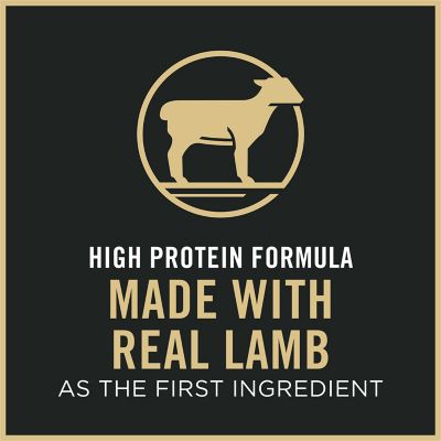 Image showing 7 th Purina Pro Plan Adult Indoor/Outdoor Sensitive Skin and Stomach Lamb and Rice Formula Dry Cat Food